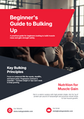 BEGINNER'S GUIDE TO BULKING UP